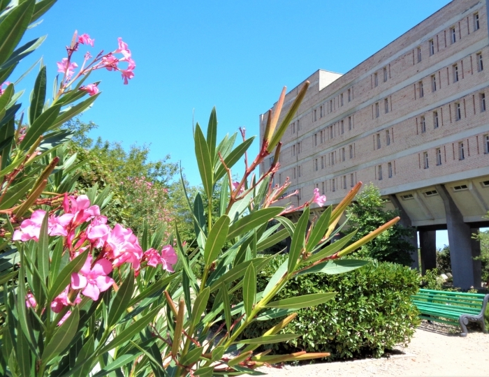 Санаторий «Южнобережный» Ялта